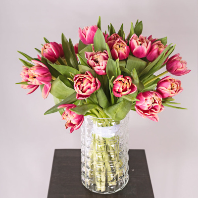 Букет из 25 пионовидных тюльпанов Коламбус под ленту 46176