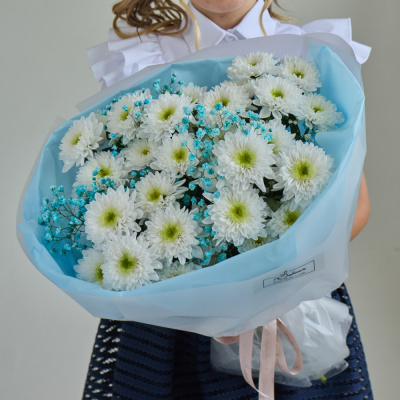 Букет школьный с хризантемой и гипсофилой ГОЛУБОЙ N 84572-Г