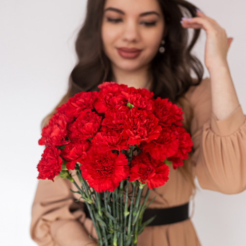 Гвоздика красная ПОШТУЧНО арт. 24