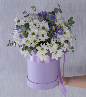 Коробка с кустовой хризантемой и ирисами "Девчата" 36288